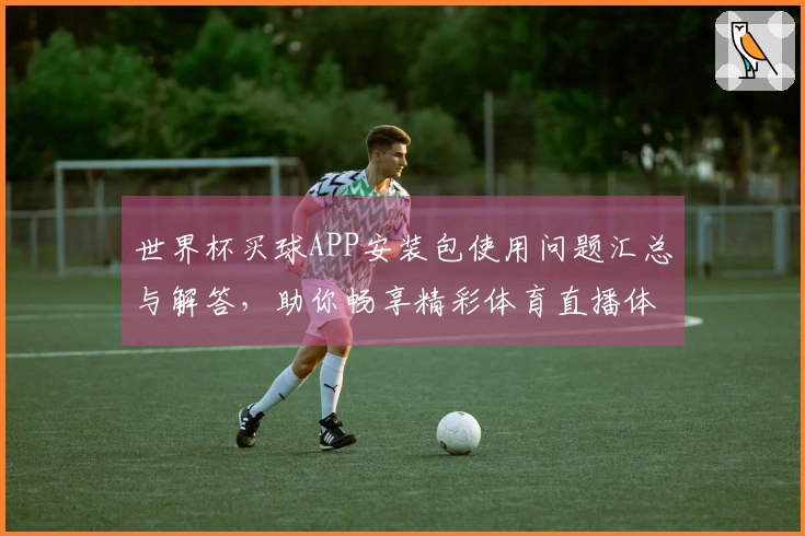 世界杯买球APP安装包使用问题汇总与解答,助你畅享精彩体育直播体验
