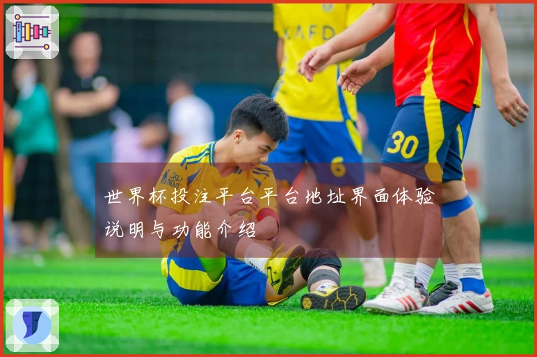 世界杯投注平台平台地址界面体验说明与功能介绍