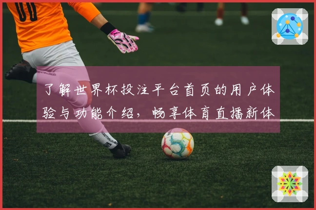 了解世界杯投注平台首页的用户体验与功能介绍,畅享体育直播新体验