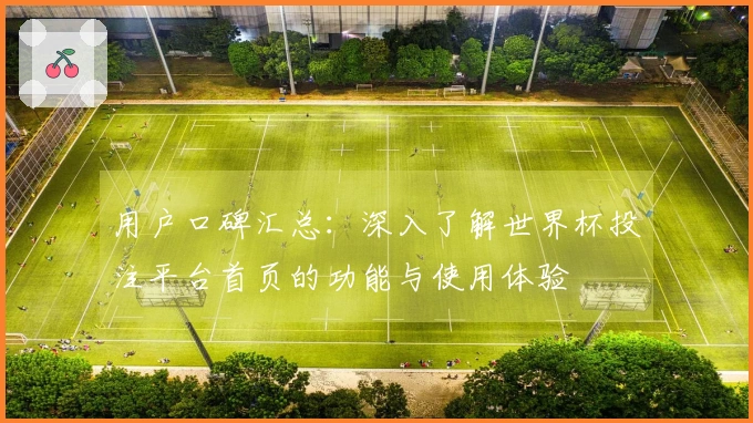 用户口碑汇总：深入了解世界杯投注平台首页的功能与使用体验