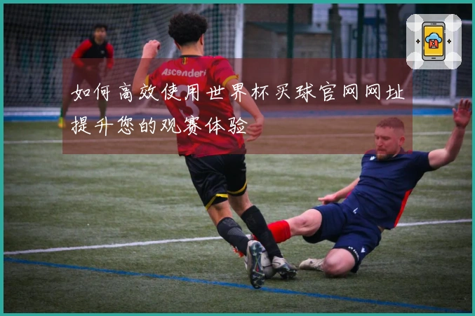 如何高效使用世界杯买球官网网址提升您的观赛体验