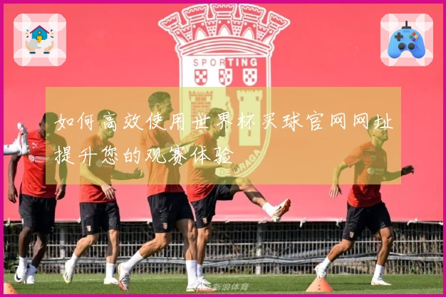 如何高效使用世界杯买球官网网址提升您的观赛体验
