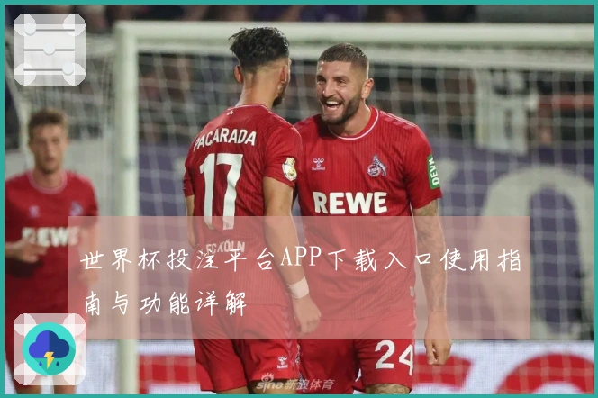 世界杯投注平台APP下载入口使用指南与功能详解