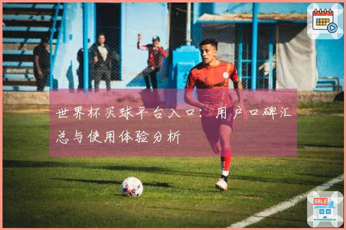 世界杯买球平台入口：用户口碑汇总与使用体验分析