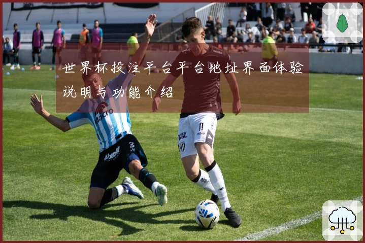 世界杯投注平台平台地址界面体验说明与功能介绍