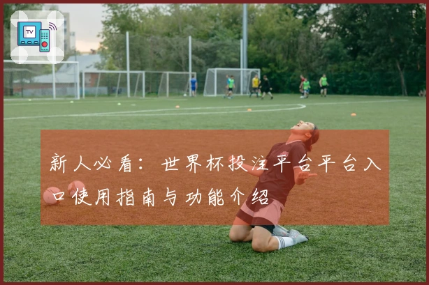 新人必看：世界杯投注平台平台入口使用指南与功能介绍