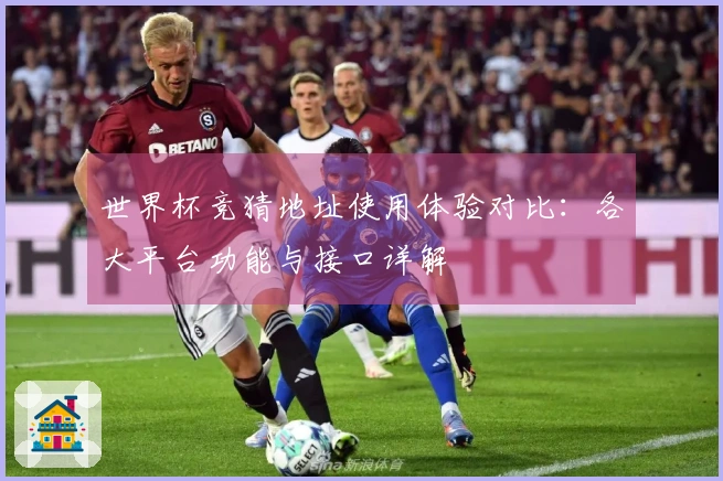 世界杯竞猜地址使用体验对比：各大平台功能与接口详解