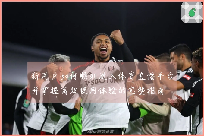 新用户如何顺利进入体育直播平台并掌握高效使用体验的完整指南