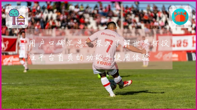 用户口碑汇总：深入了解世界杯投注平台首页的功能与使用体验
