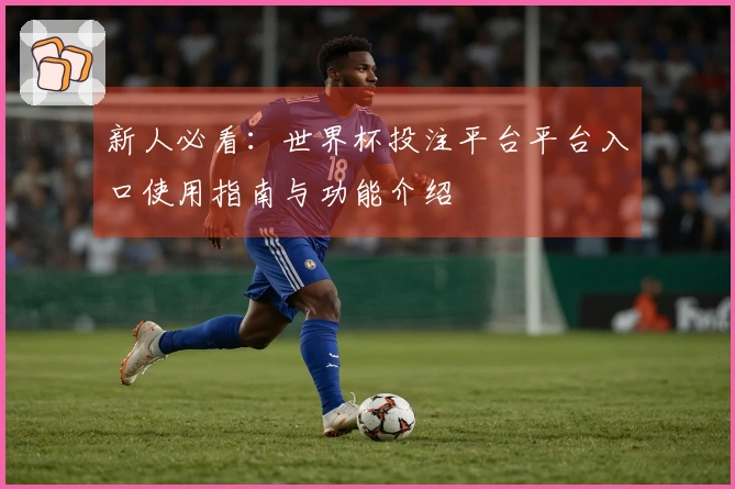 新人必看：世界杯投注平台平台入口使用指南与功能介绍