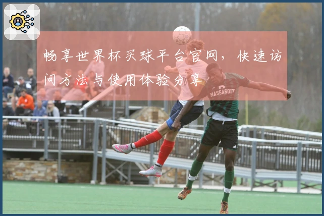 畅享世界杯买球平台官网，快速访问方法与使用体验分享